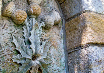 detail of an wall of a stone carving of plants