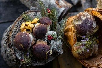 Forest mushroom boletus, cep, porcini, chanterelle collected in a wooden wicker basket. Late summer and autumn harvest. Natural food. Karelia region