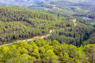 Fototapeta na wymiar Mountain road winding through valleys surrounded by pine forest