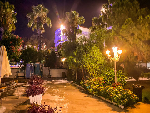 Hotel Area In A Hot, Tropical Country. Tall, Green Palm Trees Stand In The Yard And Provide Shade From The Sun. Exotic Plants