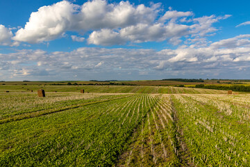 Fototapeta na wymiar Fields after harvest on a summer day. Beautiful landscape with a field.