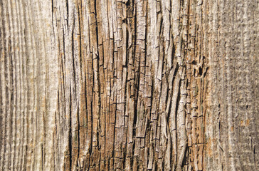 Dark brown old wooden board. Close-up