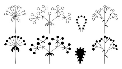 Set of flower inflorescences in plants on a stem, silhouette, isolated vector