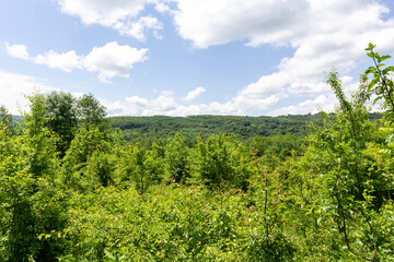 the summer period of the year, the panorama of the mountainous terrain, the summer season, in nature and the birth of a new day.