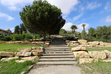 Obraz premium Staircase in the city park.