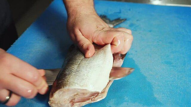 Chef fillets codfish on cutting board with a knife.