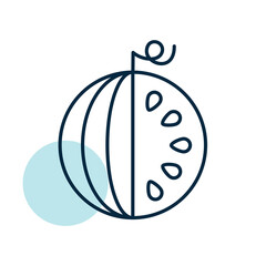 Watermellon isolated vector icon. Fruit sign