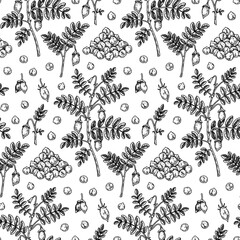 Fototapeta premium Hand drawn chickpeas seamless pattern. Vector illustration in sketch style