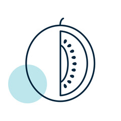 Melon isolated design vector icon. Fruit sign