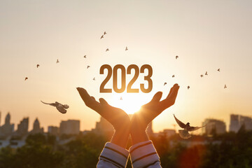New Year 2023 with hopes for peace and prosperity. - obrazy, fototapety, plakaty