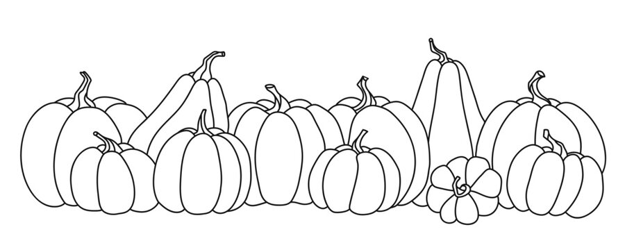 Vector hand drawn row of a pumpkins, outline doodle image. Food sketch illustration for print, web, mobile and infographics isolated on white background