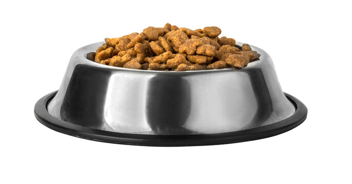 Dog food in bowl, isolated