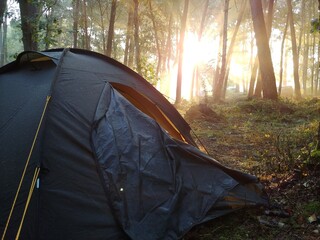 Namiot w lesie podczas wschodu słońca.