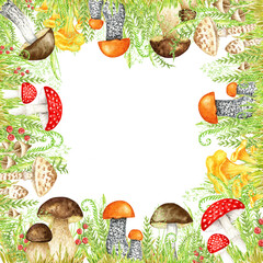 Mushrooms watercolor border frame, big mushroom with grass, spongy mushroom vegetarian gourmet cuisine, Amanita muscaria, boletus, autumn mushrooms hand drawn illustration isolated on white background