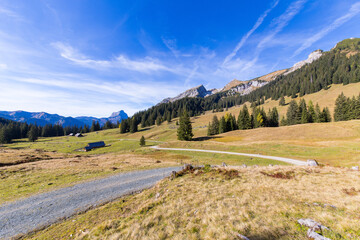 Fototapeta na wymiar Idyllic mountain landscape with cabins and autumn colors. Location is the Gesäuse national park in Styria, Austria