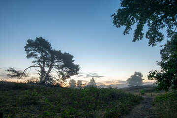 Traumhafter Sonnenaufgang bei Nebel in der Heide
