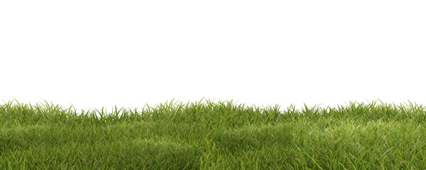 Obraz premium green grass meadow outdoor 3d-illustration