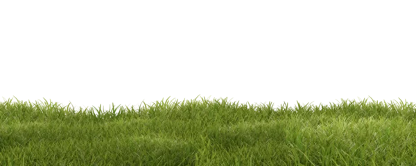 Foto op Plexiglas green grass meadow outdoor 3d-illustration © wetzkaz