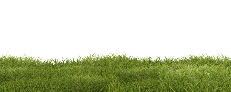 green grass meadow outdoor 3d-illustration