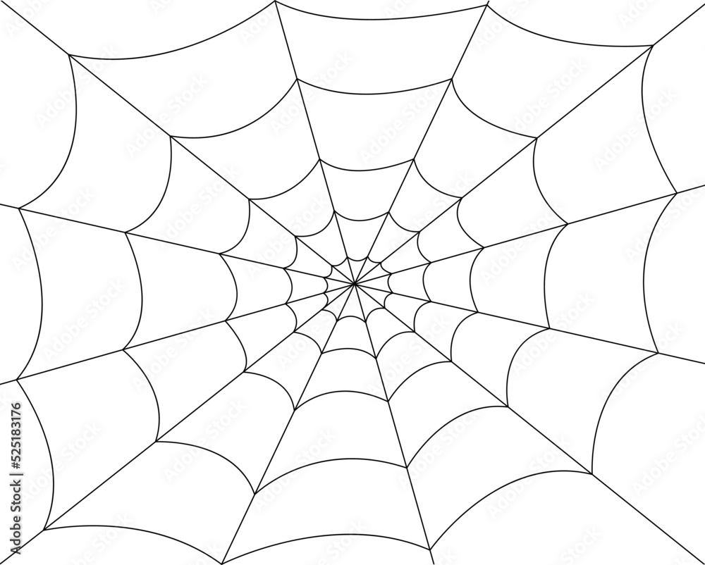 Wall mural spider web on white background