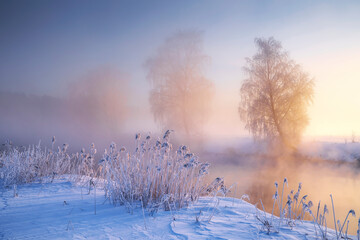 Frosty winter morning - 525184514