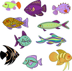 set of marine tropical fish, aquarium fish, deep-sea fish, seashore