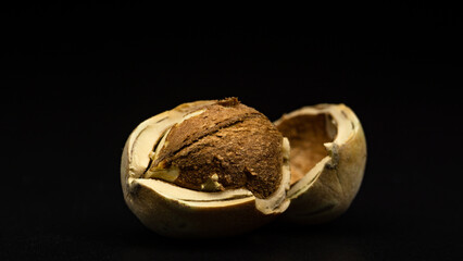 hazelnut kernel and shell on black background