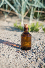 Essential oil bottle on a sandy beach. Little brown medicine bottle in nature background. Organic CBD hemp oil.