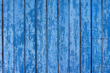 Fototapeta na wymiar Cracked wooden panels covered with old peeled blue paint