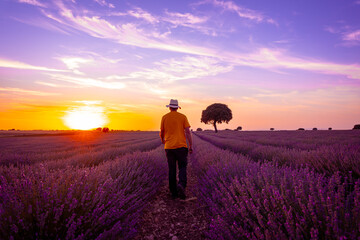 A young man in a lavender field at sunset with the sun in the background, Brihuega. Guadalajara, Spain.