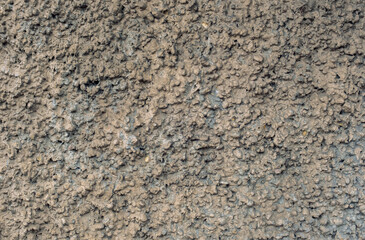 Rough colored wall background. Wall texture, smooth and bright. Solid gray wall background