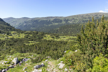 Fototapeta na wymiar Landscape of Rila mountain near The Fish Lakes (Ribni Ezera), Bulgaria