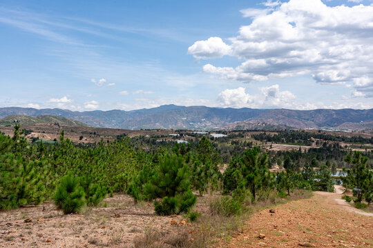 paisaje de monta&ntilde;as y bosque 