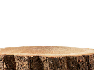 Tabletop (podium) from a tree felling on an isolated background. All photos in depth of field