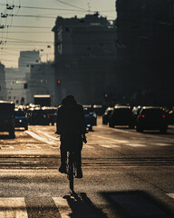 Obraz premium Milano