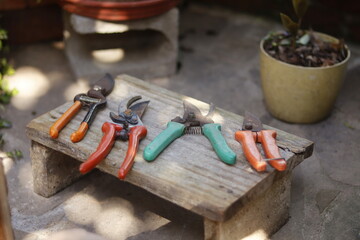 Pruning shears 