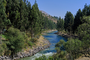 Beautiful sunny morning on the Mantaro River, surrounded by dense eucalyptus trees.