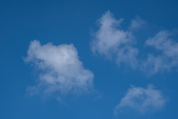 white clouds in the blue sky. cumulus.