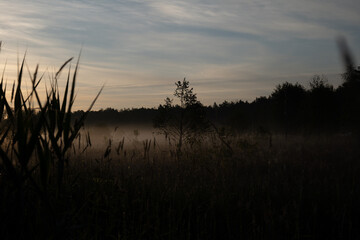 sunrise over the fields, Polish wild nature, landscape at sunrise