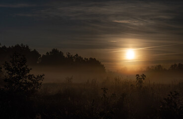 Fototapeta na wymiar sunrise over the fields, Polish wild nature, landscape at sunrise