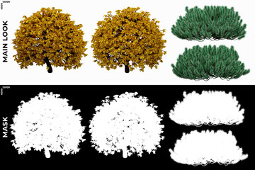3D Rendering of Garden Plants (Residential or Commercial Space) with alpha mask to cutout and PNG editing. Vegetation for Nature Compositing