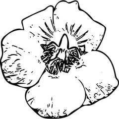 Obraz premium hand drawn flower