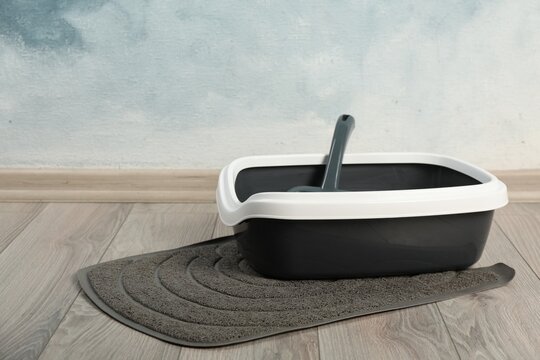 Cat litter tray with scoop on floor near light blue wall. Space for text