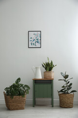 Different tropical plants in wicker pots near white wall at home