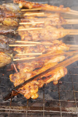 Grilled chicken skewers on stove. Thai food