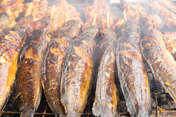 Grilled catfish on charcoal stove. Thai food