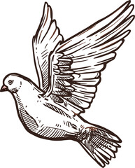 Christianity religion icon, dove of peace
