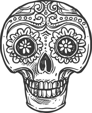 Calavera skull isolated Cinco de Mayo head sketch