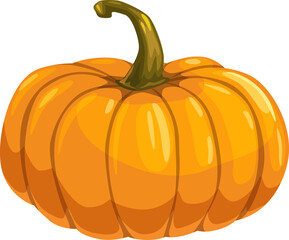 Pumpkin with curved stem isolated vegetarian food