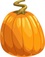 Squash autumn harvest vegetable isolated pumpkin